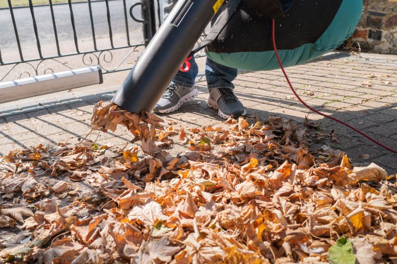 Leaf Blowing and Collection