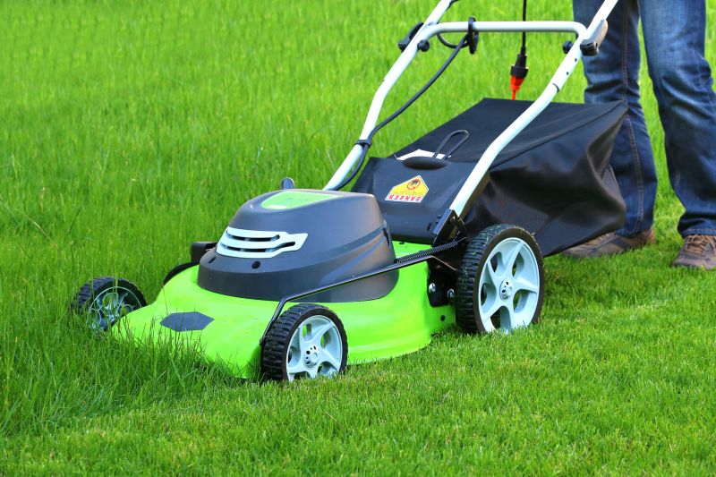 Lawn Mower in Use